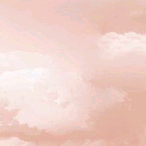 Meet your Posher, Anabel